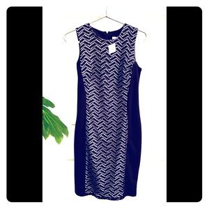 Cato dress! New with tags body con dress.
